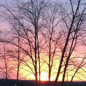 Meet your Posher, Evie